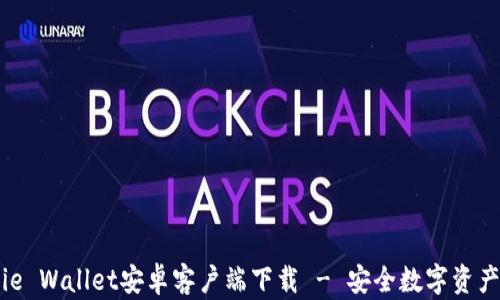 
BitPie Wallet安卓客户端下载 - 安全数字资产管理