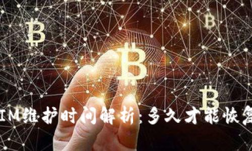 TokenIM维护时间解析：多久才能恢复服务？