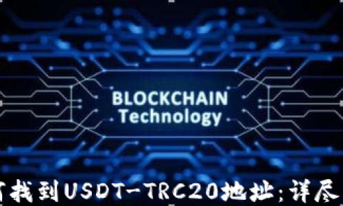 
如何找到USDT-TRC20地址：详尽指南