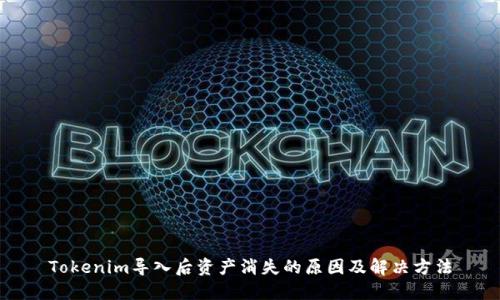 Tokenim导入后资产消失的原因及解决方法