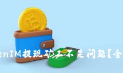 如何解决TokenIM提现矿工不
