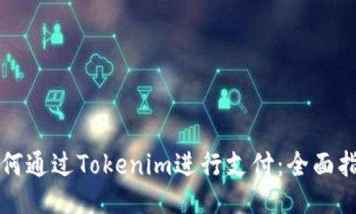 如何通过Tokenim进行支付：全面指南