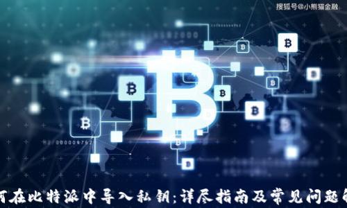 
如何在比特派中导入私钥：详尽指南及常见问题解答