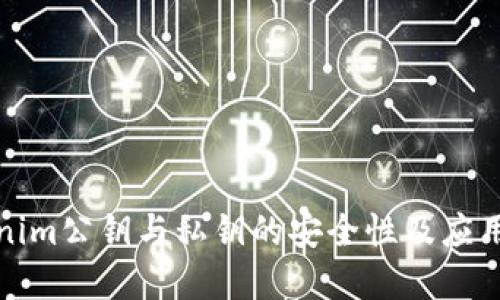 Tokenim公钥与私钥的安全性及应用详解