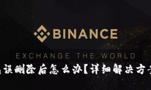 Tokenim钱包误删除后怎么办？详细解决方案与预防措施