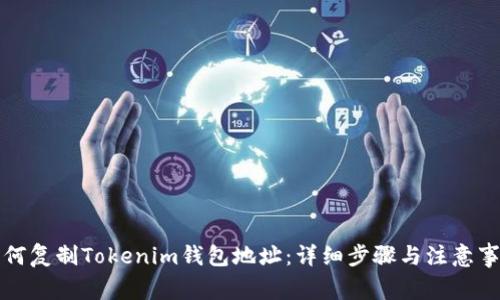 如何复制Tokenim钱包地址：详细步骤与注意事项