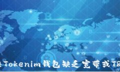   如何解决Tokenim钱包缺乏