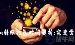 Tokenim转账打包时间解析：