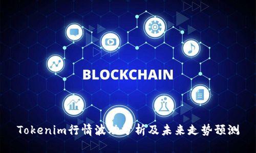 Tokenim行情波动分析及未来走势预测