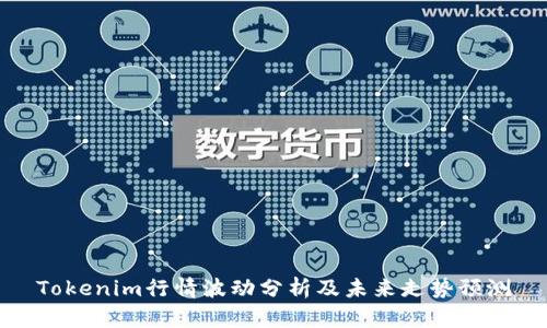 Tokenim行情波动分析及未来走势预测