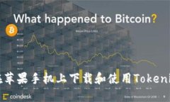 如何在苹果手机上下载和