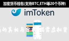 中本聪币骗局的真相与分