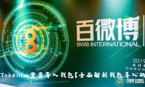 为什么Tokenim需要导入钱包？全面解析钱包导入的重要性