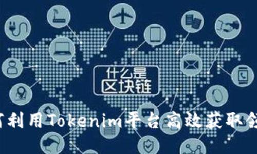 如何利用Tokenim平台高效获取领币？