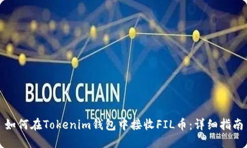 如何在Tokenim钱包中接收FIL币：详细指南