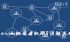 什么是Tokenim拥有者权限？