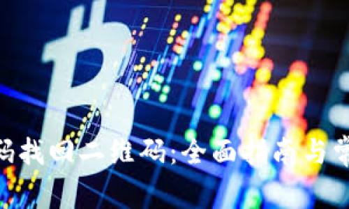 Tokenim密码找回二维码：全面指南与常见问题解答
