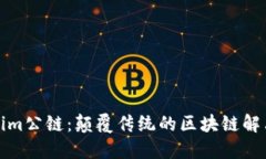 Tokenim公链：颠覆传统的区块链解决方案