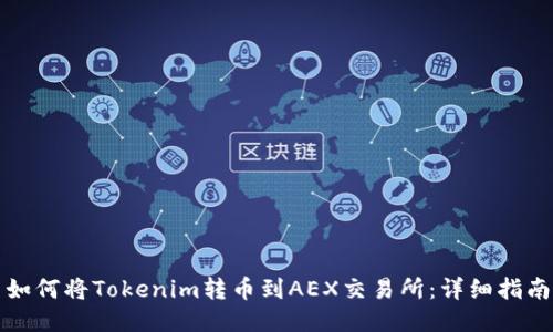 如何将Tokenim转币到AEX交易所：详细指南