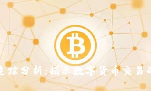 泰达币钱包地址追踪分析：揭示数字货币交易的隐私性与透明性