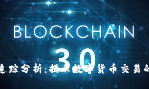 泰达币钱包地址追踪分析：揭示数字货币交易的隐私性与透明性