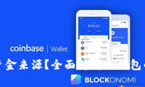 如何通过冷钱包查资金来源？全面解析冷钱包的安全性与资金追踪