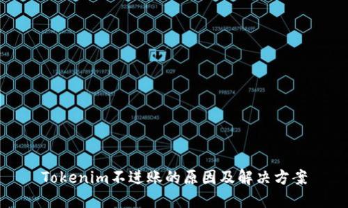 Tokenim不进账的原因及解决方案