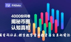 币圈首码社区：探索数字