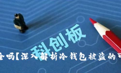 比特币冷钱包安全吗？深入解析冷钱包被盗的可能性和防范措施